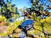 W teście: Samsung Galaxy Watch Ultra2