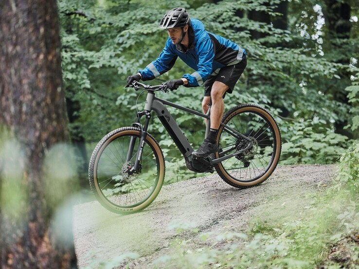 Elektryczny rower górski Crivit Peak 709 (źródło zdjęcia: Lidl)