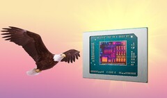 AMD Bald Eagle Point, jeśli nie zostanie złomowany, może zostać wydany w przyszłym roku. (Źródło obrazu: AMD, FlashBuddy, edytowane)