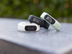 Garmin wydał nową aktualizację oprogramowania układowego dla Vivosmart 5. (Źródło obrazu: Garmin)