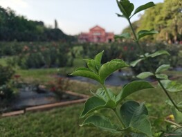 Zdjęcie portretowe z obiektywem szerokokątnym