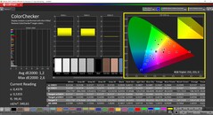 CalMAN ColorChecker (profil: P3: docelowa przestrzeń kolorów: P3)