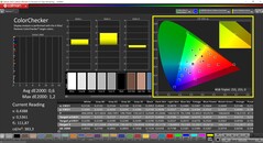 CalMAN ColorChecker (profil: P3, docelowa przestrzeń kolorów: P3)