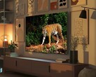 Telewizory Amazon Fire TV Omni mini-LED posiadają czujnik światła, który automatycznie dostosowuje jakość obrazu w oparciu o oświetlenie otoczenia. (Źródło obrazu: Amazon)