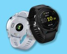 Garmin wprowadza wersję beta 21.18 dla zegarków Forerunner 255 (powyżej) i Forerunner 955. (Źródło zdjęcia: Garmin)