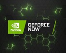 GeForce Teraz logo (Źródło obrazu: Nvidia)