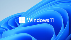 Windows 11 (Źródło obrazu: Microsoft)