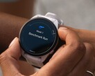 Niektóre smartwatche Garmin Forerunner otrzymują aktualizację beta w wersji 21.16. (Źródło obrazu: Garmin)