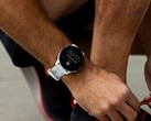 Garmin udostępnił wersję beta 20.21 dla Forerunner 955. (Źródło obrazu: Garmin)