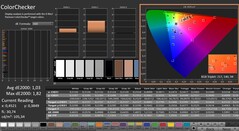 CalMAN: ColorChecker (skalibrowany)