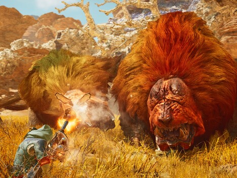 Walka na pustyni Monster Hunter Wilds (źródło obrazu: Steam)