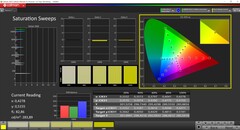 Nasycenie CalMAN (profil: AdobeRGB, docelowa przestrzeń kolorów: AdobeRGB)