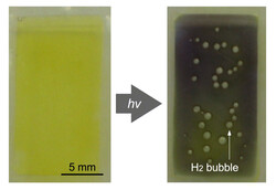 Pęcherzyki H2 tworzą się w wodzie w świetle słonecznym. (Źródło zdjęcia: JAIST)
