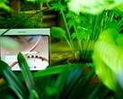 OnePlus 4 to świetny tablet, ale okres wsparcia technicznego nie jest idealny.