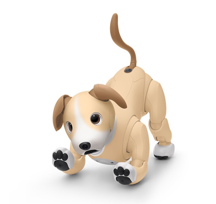 Aibo Kinako Edition to limitowany model na rok 2024, dostępny tylko do wyczerpania zapasów. (Źródło zdjęcia: Sony)