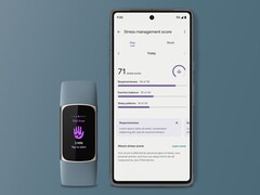 Fitbit udostępnił nową stronę wyników zarządzania stresem dla niektórych użytkowników. (Źródło obrazu: Fitbit)