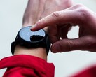 Pojawiła się nowa aktualizacja beta dla smartwatcha Garmin Forerunner 955. (Źródło obrazu: Garmin)