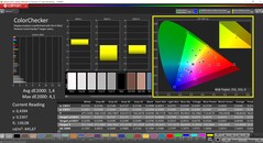 CalMAN ColorChecker (profil: P3, przestrzeń kolorów: P3)