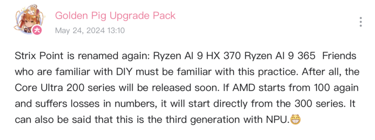 Nowe nazwy procesorów AMD Strix Point (zdjęcie za pośrednictwem Bilibili)