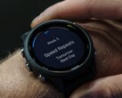 Garmin wprowadzi wersję beta 22.12 na różne smartwatche Forerunner. (Źródło obrazu: Garmin)