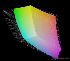 vs. Adobe RGB: 76,5% pokrycia