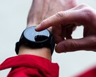 Garmin beta w wersji 22.22 jest już dostępna dla smartwatchy, w tym Forerunner 955. (Źródło obrazu: Garmin)