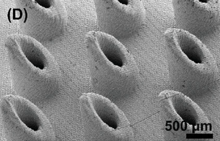 Obraz skaningowej mikroskopii elektronowej (SEM) wydrukowanej w 3D matrycy mikroigieł (MNA). (Źródło obrazu: Advanced Healthcare Materials)