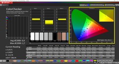 CalMAN ColorChecker skalibrowany