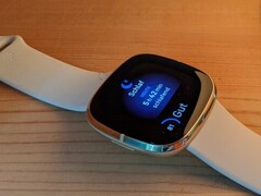 Fitbit Sense i Versa 3 mogą się przegrzewać (źródło zdjęcia: Inge Schwabe)