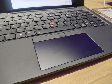 Lenovo ThinkPad T14s Gen 6 AMD: Touchpad (źródło obrazu: Benjamin Herzig)