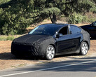 Odświeżony Tesla Model Y Juniper w końcu się pojawił, sygnalizując postęp w kierunku wczesnej premiery w 2025 roku. (Źródło obrazu: u/JacklJackon Reddit)