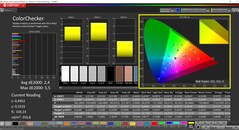 CalMAN ColorChecker (profil: Natywny, docelowa przestrzeń kolorów: P3)