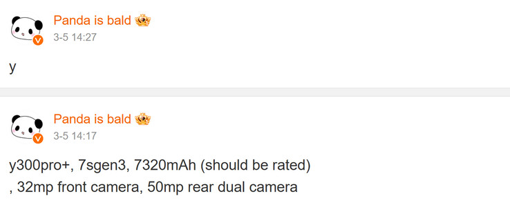 Podstawowa specyfikacja Vivo Y300 udostępniona przez Pandę jest łysa (źródło obrazu: Weibo - przetłumaczone maszynowo)