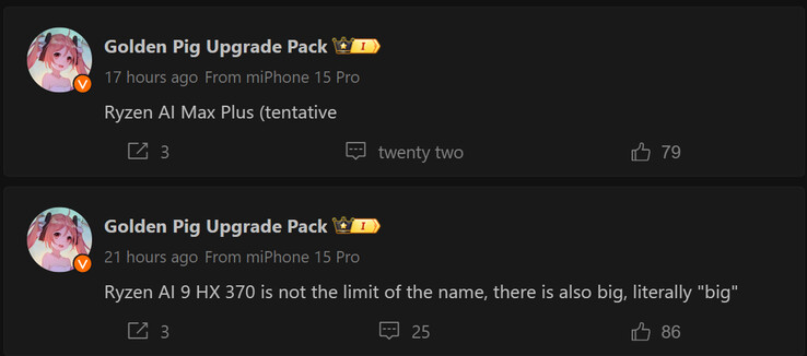 Raport Golden Pig Upgrade na temat nowych procesorów AMD Ryzen AI z serii 300 (źródło obrazu: Weibo - tłumaczenie maszynowe)