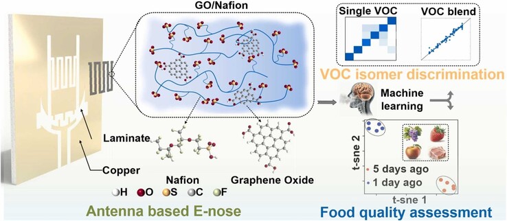 Graficzne streszczenie czujnika z pojedynczą anteną pokrytego tlenkiem grafenu. (Źródło obrazu: ScienceDirect)