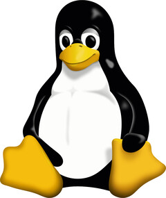 Nadchodzi Linux Kernel 6.11, który zapewnia wsparcie dla nowego sprzętu. (Zdjęcie: Wikimedia Commons)