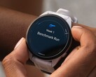 Kilka smartwatchy Garmin Forerunner otrzymuje aktualizację beta w wersji 21.18. (Źródło obrazu: Garmin)