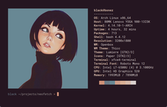 Do tej pory zrzut ekranu własnego pulpitu Linuksa zwykle zawierał okno terminala z Neofetch (Zdjęcie: Dylan Araps/GitHub).